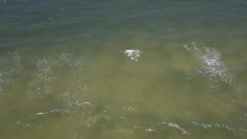 Mar avança sobre Rio São Francisco e afeta população ribeirinha em Alagoas