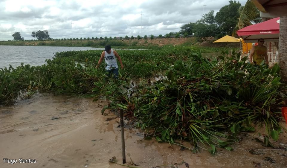 Baronesas voltam a causar transtornos e prejuízos no Balneário Prainha em Paulo Afonso (Fotos)