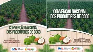 1ª edição da Convenção Nacional dos Produtores de Coco acontece em Salvador (BA) dias 17 e 18/01