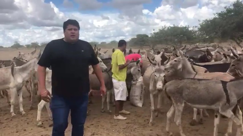 Após morte de 200 jumentos, prefeito leva comida e aluga fazenda em Rodelas (BA) para tratar dos animais
