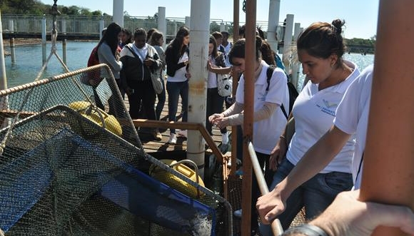 Pronatec oferece curso de Criação em Tanques Rede em Paulo Afonso, Glória, Rodelas, Macururé e Chorrochó