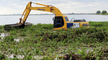 “Paulo Afonso não pode receber toda essa carga”, diz ambientalista sobre proliferação de baronesas no Rio São Francisco
