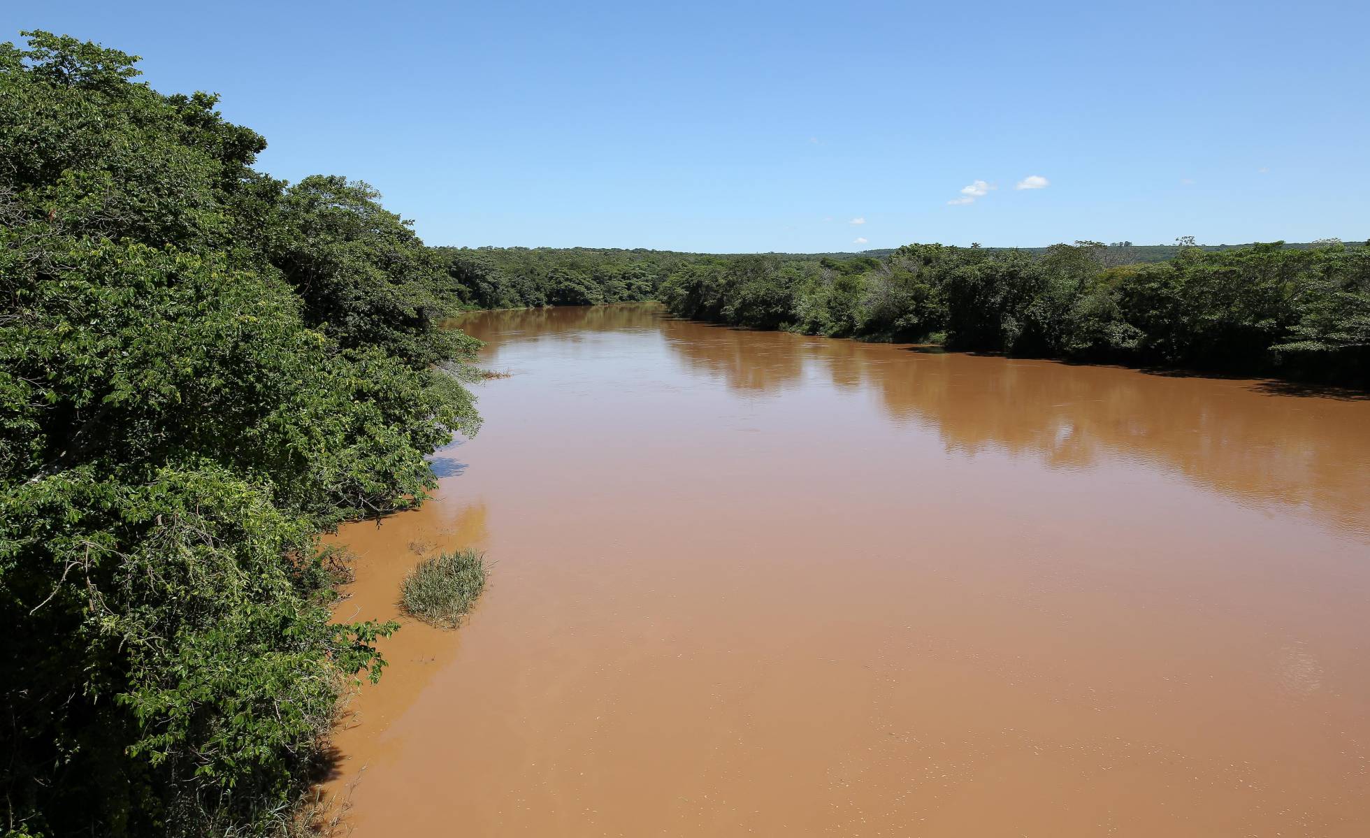 Resíduos de Brumadinho já matam os peixes do Rio São Francisco