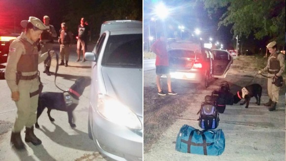 Cão farejador do 20º BPM é utilizado para coibir o tráfico de drogas em Paulo Afonso