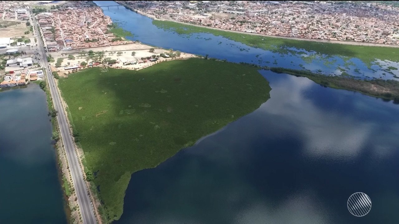 Paulo Afonso e mais 270 cidades da Bahia têm água contaminada por agrotóxicos