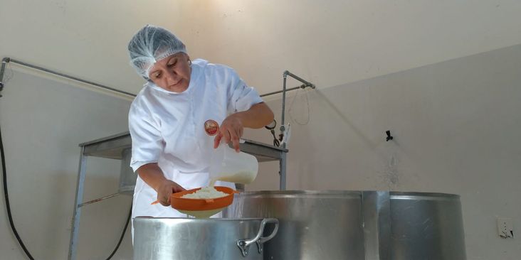 Uauá será referência na produção de leite de cabra