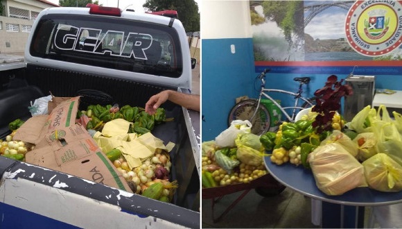 Guarda Civil Municipal apreende mercadorias para desobstruir vias públicas na feira livre de Paulo Afonso