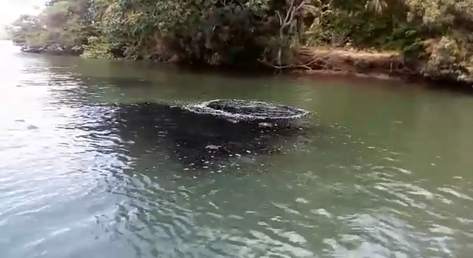 Justiça determina que Chesf não reduza água de reservatório da Usina de Xingó para evitar mancha no Rio São Francisco