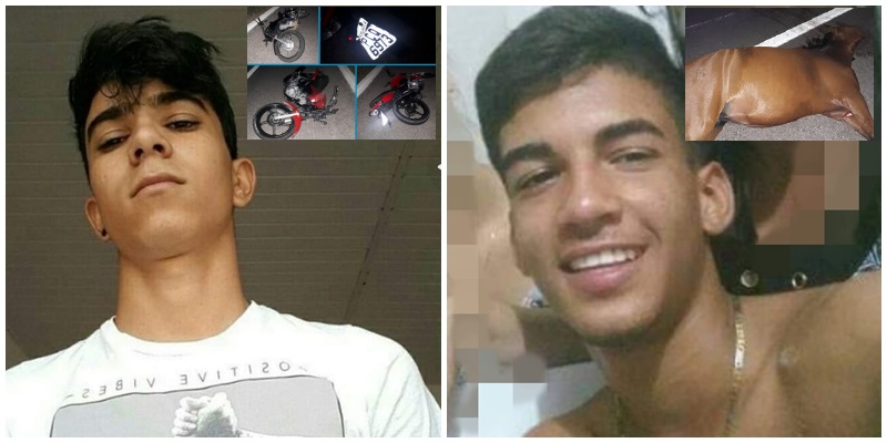 Jovens de 16 e 17 anos morrem ao colidir motos em cavalo na BR-110, em Petrolândia (PE); VEJA FOTOS