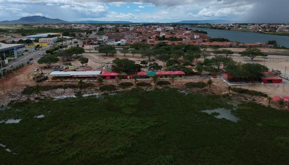 Região de Paulo Afonso e Glória enfrenta desafio para conter avanço das baronesas (vídeo e fotos)