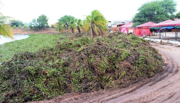 Nova barreira de contenção vai ser implantada para impedir acúmulo de baronesas na Prainha