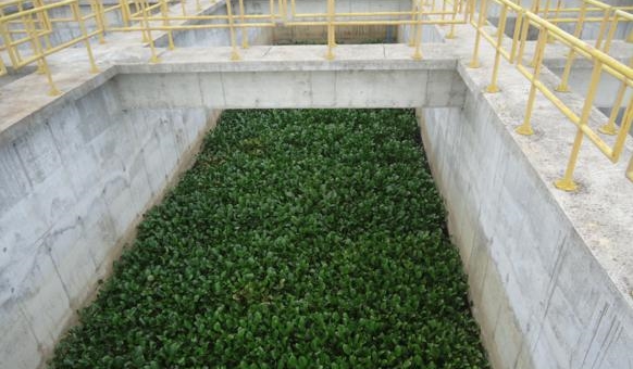 Baronesas chegam a reservatório do Canal do Sertão e grupo de universitários faz alerta