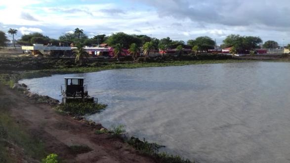 Mais de 90% das baronesas são retiradas do Balneário da Prainha, mas problema está longe do fim