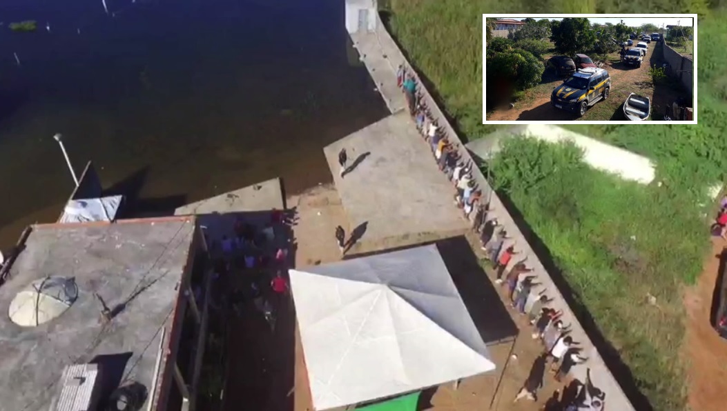 Operação desmantela rinha de galo em Paulo Afonso e Glória; 63 pessoas detidas e 229 animais resgatados