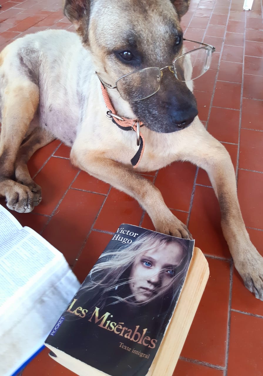 O convite do Le Monde aos pauloafonsinos. Por Francisco Nery Júnior