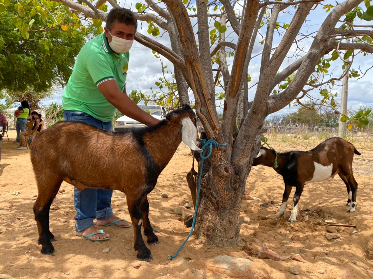 Agricultores familiares da zona rural de Macururé aumentam em 80% o rebanho de caprinos