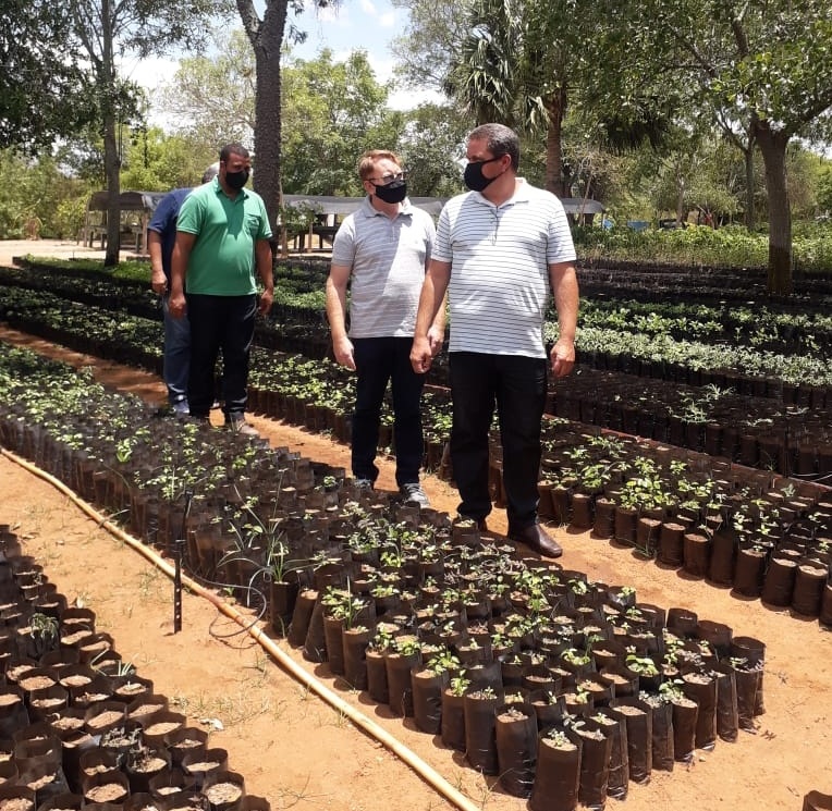 Prefeitura recebe doação de 2 mil mudas nativas para o município de Paulo Afonso