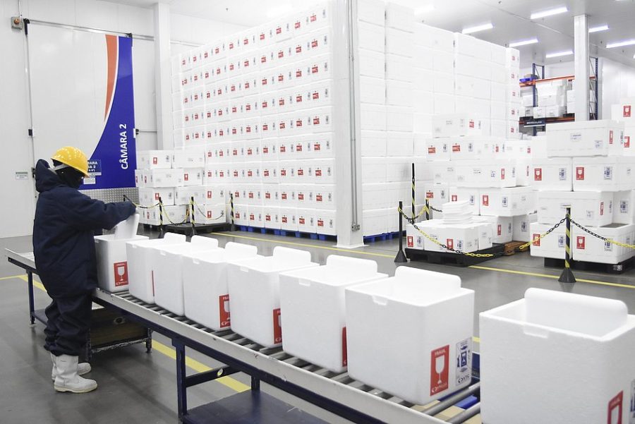 Primeiro lote com 1 milhão de doses da vacinas da Pfizer chega ao Brasil