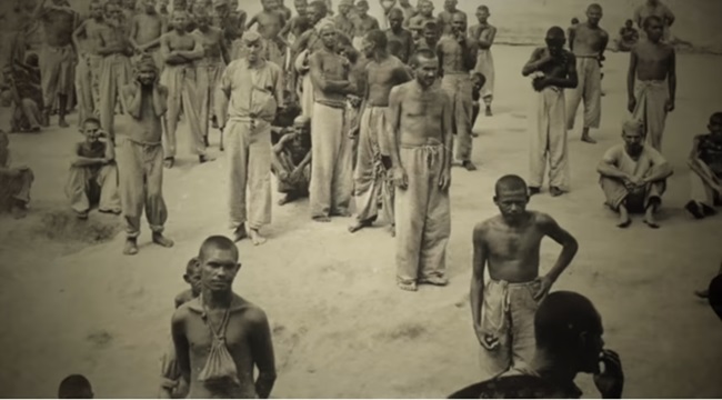 O segundo holocausto brasileiro…em uma nova colônia