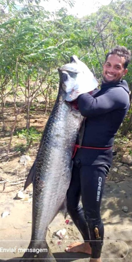 Jovem pescador de Pão de Açúcar/AL captura camurupim no Rio São Francisco