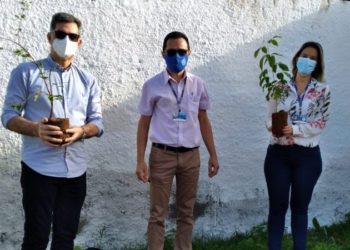No mês ambiental, Grupo Sete inicia ações com o projeto caatingARborizar