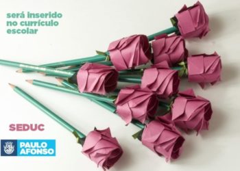 Escolas da rede municipal de Paulo Afonso terão conteúdo de prevenção à violência contra a mulher