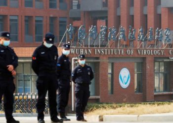 ARTIGO – Hipóteses de um acidente de laboratório – Covid19 (Francisco Nery Júnior)