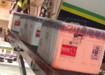 Bahia recebe novo lote com mais de 300 mil doses de vacinas da AstraZeneca contra Covid-19