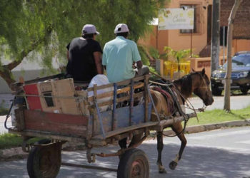 CRÔNICA – O casal de carroceiros que me fez sentir pequeno (Francisco Nery Júnior)