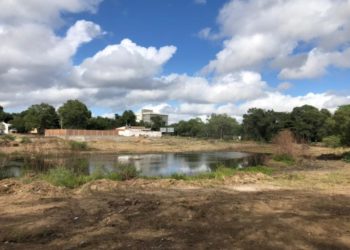 Paulo Afonso: Lago do Hospital recebe serviços de limpeza e poda de árvores