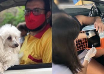 Drive-thru da vacinação antirrábica no BTN acontece dias 1 e 2 de setembro