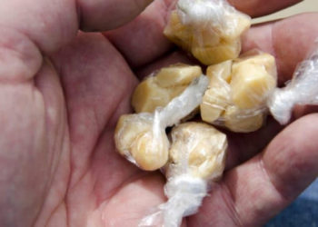 Polícia Militar apreende 25 pedras de crack em Paulo Afonso