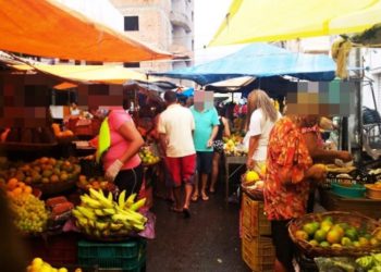 O encanto da Feirinha (Francisco Nery Júnior)