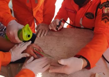 Paulo Afonso – Garota procura Corpo de Bombeiros para retirar anel preso em dedo