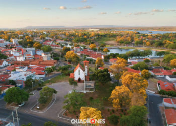Flores amarelas das caraibeiras deixam paisagens de Paulo Afonso mais belas