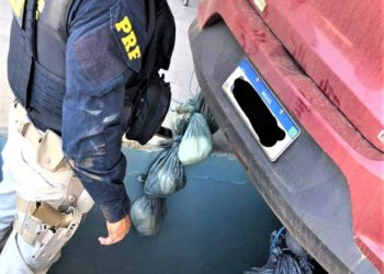 PRF apreende cocaína avaliada em R$ 1milhão e 400mil e prende motorista por tráfico de drogas em Juazeiro (BA)