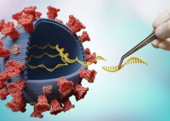 Bahia não tem registros de casos da nova variante ômicron, diz governo