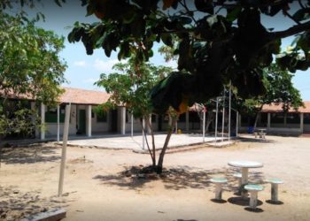 CRÔNICA – Os cursos técnicos do Cetepi (Francisco Nery Júnior)