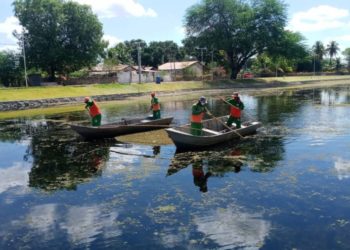 Secretaria inicia limpeza do Lago da Aurora e dá continuidade ao do Monumento Touro e a Sucuri