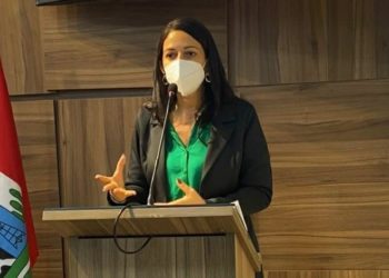 “Estou satisfeita com o meu 1º ano”, avalia vereadora Evinha Oliveira na última sessão de 2021