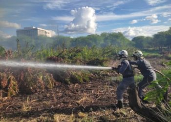 15º GBM debela princípio de incêndio após queima de lixo em Paulo Afonso