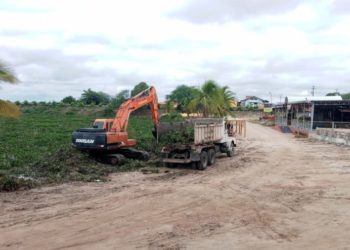 “Estamos trabalhando sozinhos desde 2018”, diz secretário sobre remoção de baronesas da Prainha