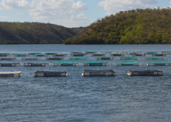 Bahia Pesca recomenda plano de emergência e contingência a piscicultores da região de Paulo Afonso