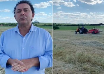 Ao visitar campo de feno, Valmir Rocha propõe energia solar para diminuir custos dos produtores de Paulo Afonso