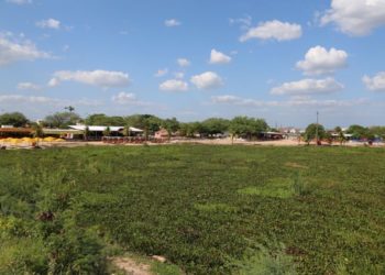 Prefeitura cobra da Justiça Federal que Chesf, União e Estado da Bahia cumpram decisão e removam baronesas do “Velho Chico”