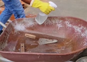 CRÔNICA – Péricles, um professor improvisado em pedreiro (Francisco Nery Júnior)