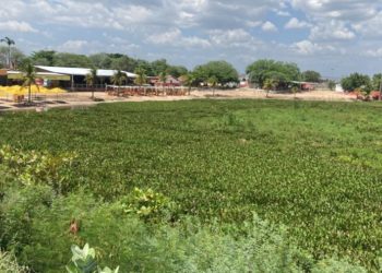 Justiça Federal: União, Estado e Chesf têm dez dias para retirar baronesas da Prainha ou multa de R$ 100 mil por dia
