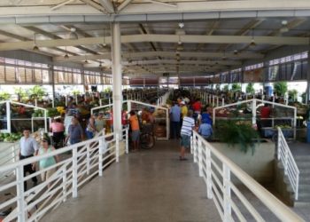 Paulo Afonso: saiba como será o funcionamento das feiras livres durante Semana Santa