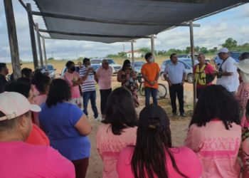 Projeto de remo que apoia mulheres que tiveram câncer de mama receberá R$30 mil de emenda parlamentar