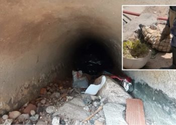 Bombeiros resgatam cachorro preso há 2 dias em tubulação de esgoto em Paulo Afonso